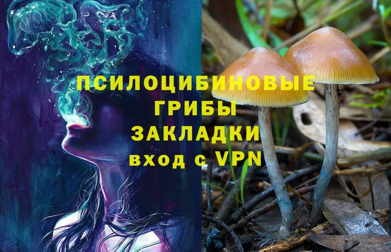 дарнет шоп  Верхоянск  Галлюциногенные грибы Psilocybine cubensis 